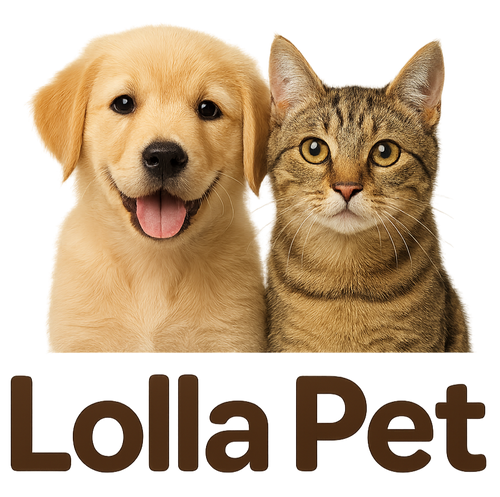 Lolla Pet