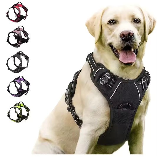 DogHero Kit