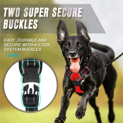 DogHero Kit