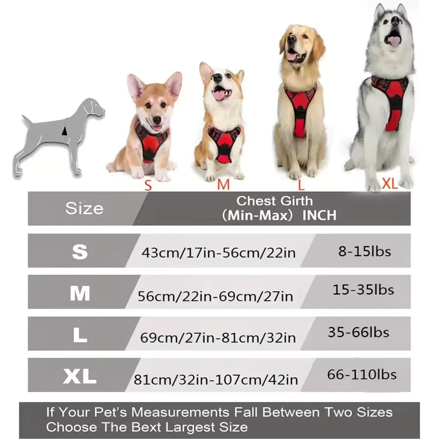 DogHero Kit
