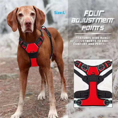 DogHero Kit