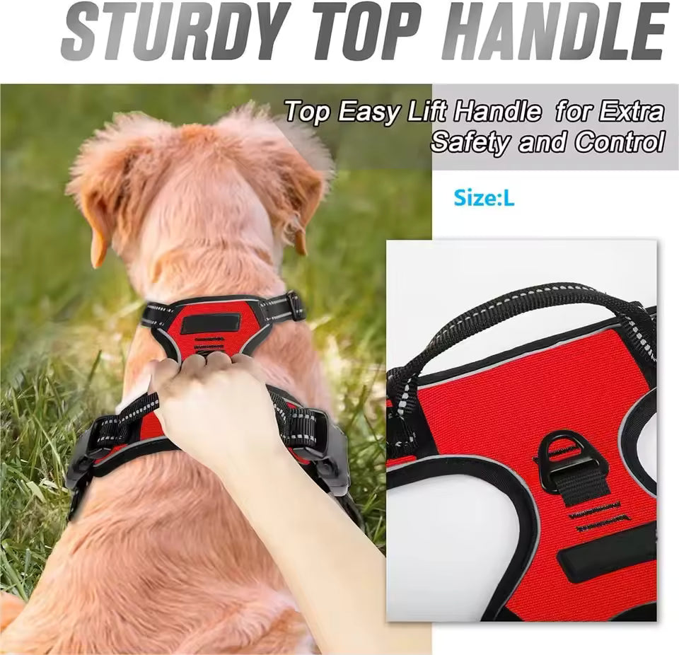 DogHero Kit